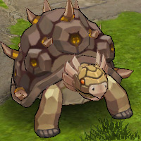 キンググランドトータス.jpg キンググランドトータス.jpg